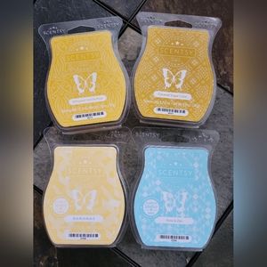 Scentsy wax bundle